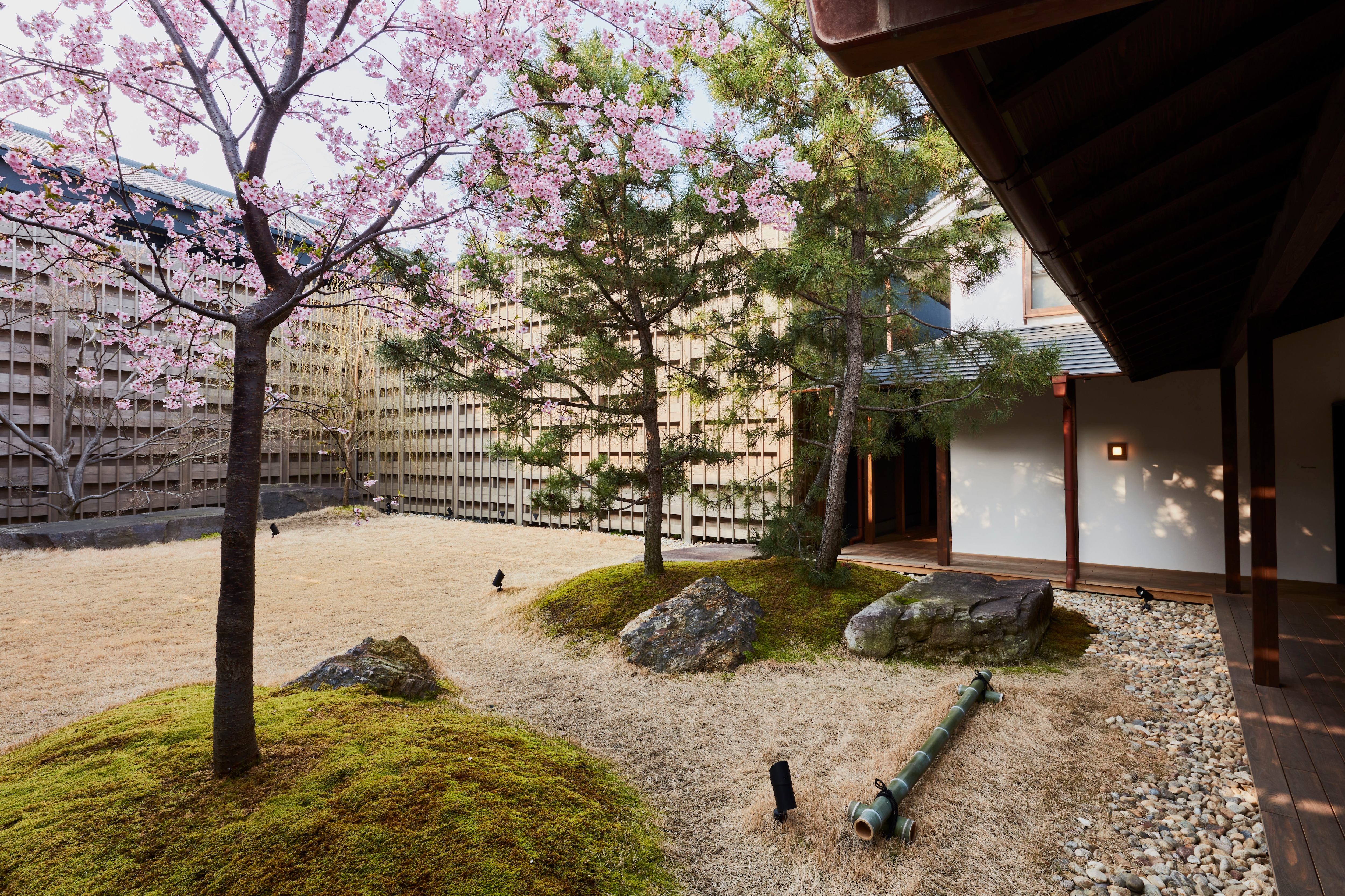 Garden_Sakura