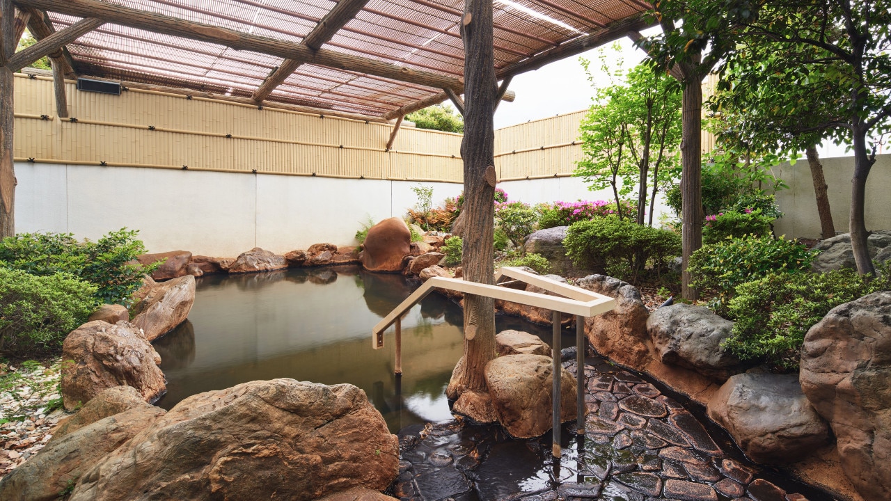 Nagahama Taiko Hot Springs