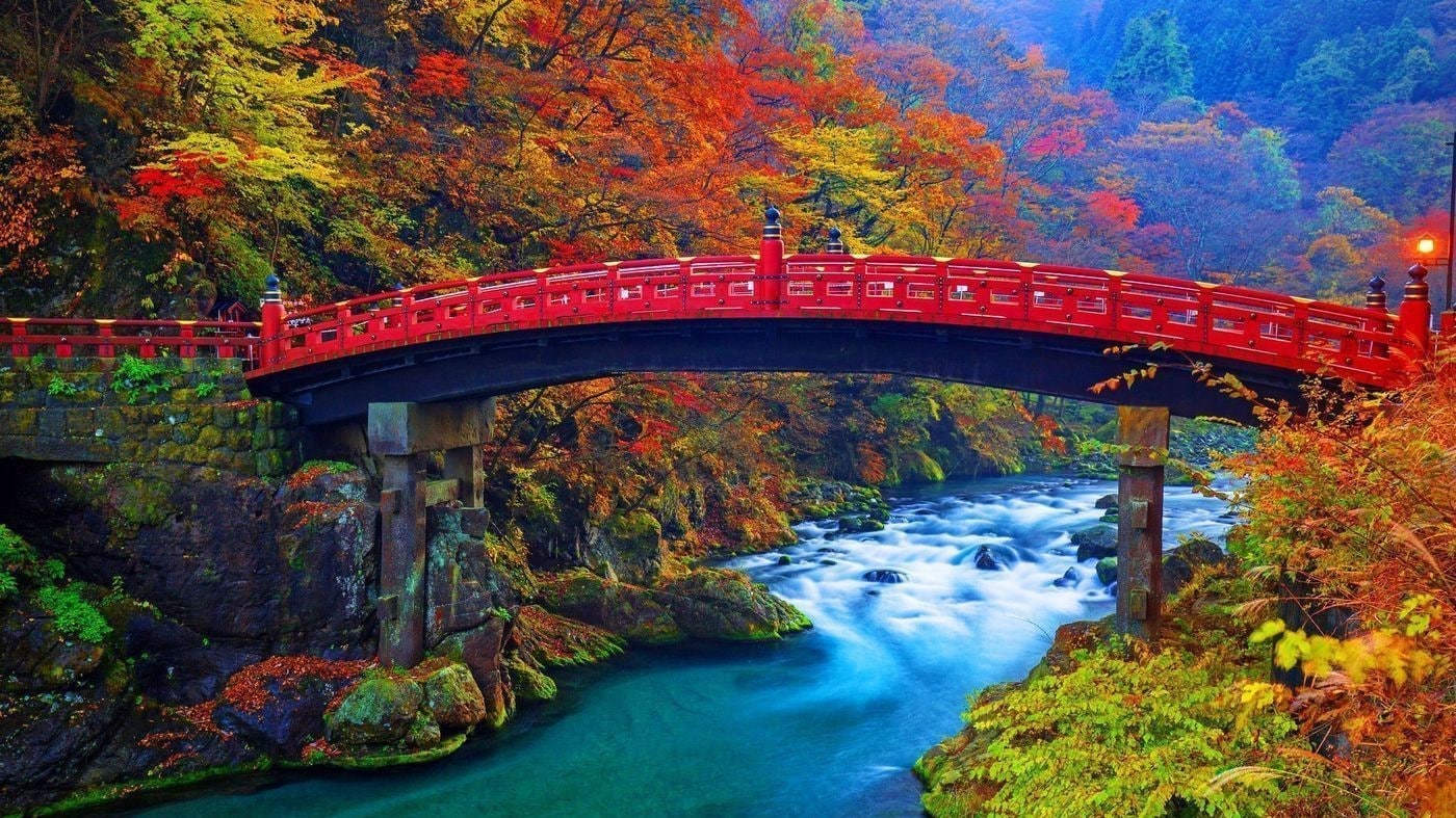 Shinkyo