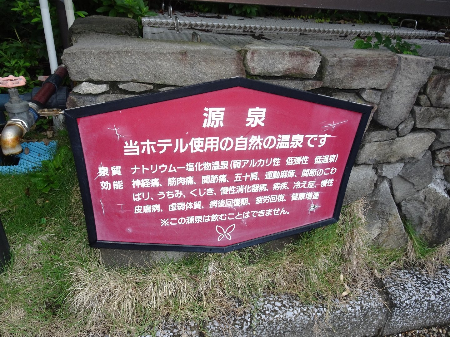 DSC04297.JPG