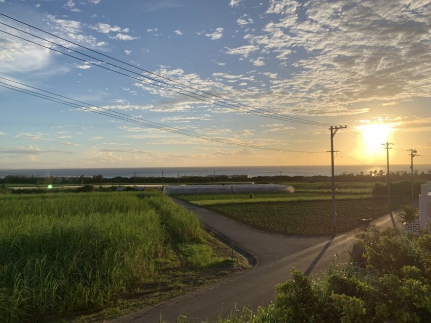 從露台看日落