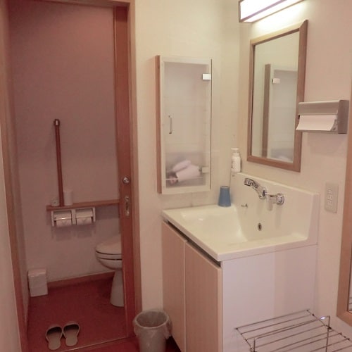 Bathroom and toilet in the room