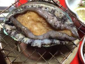 Abalone Ceramic Grill