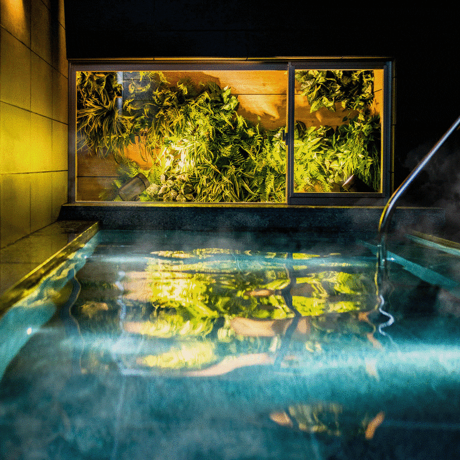 Yugawara Natural Hot Spring "Tokugawa Takagari no Yu"