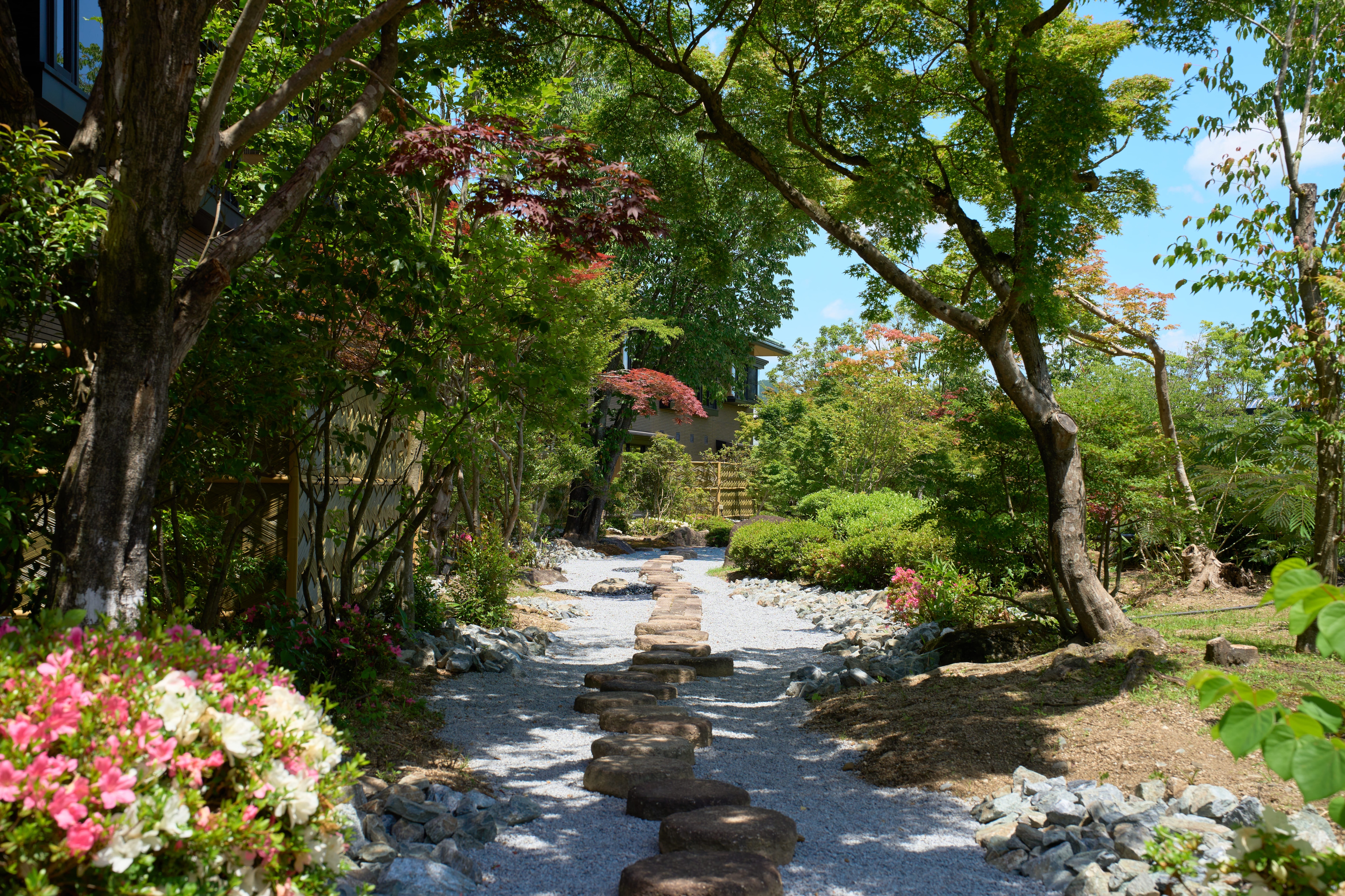 garden