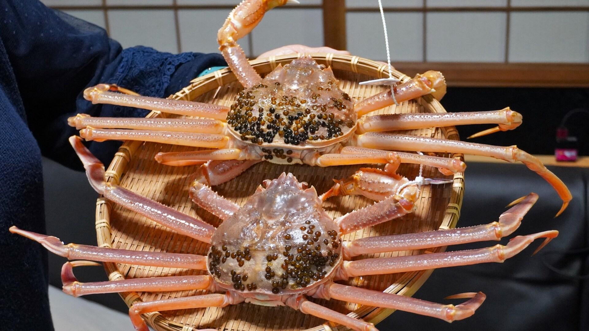 [Thưởng thức Kaga vào mùa thu và mùa đông] Lên kế hoạch cùng Cua