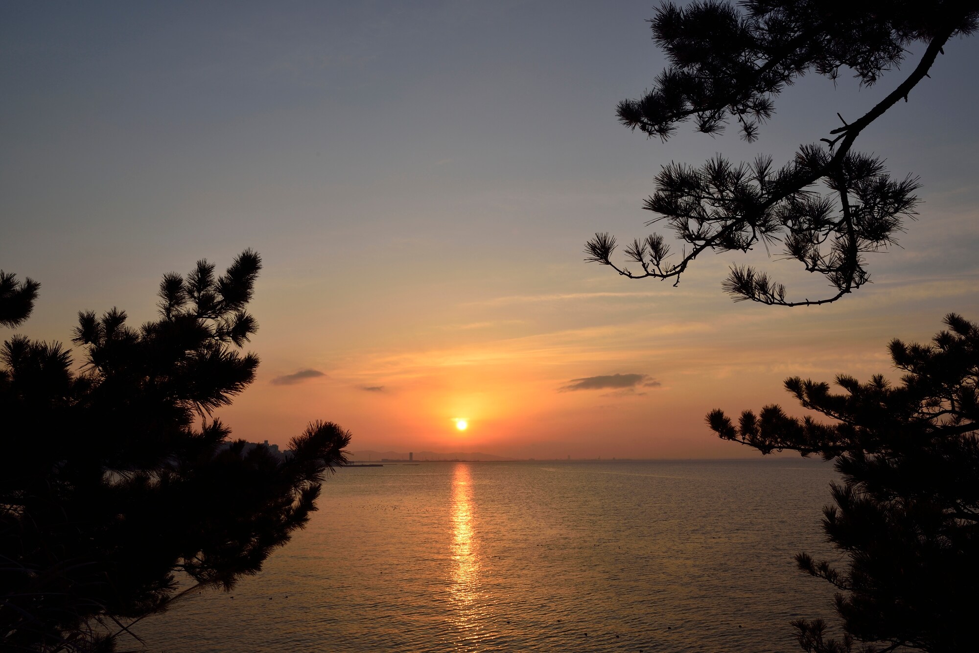 Bình minh từ Takeshima