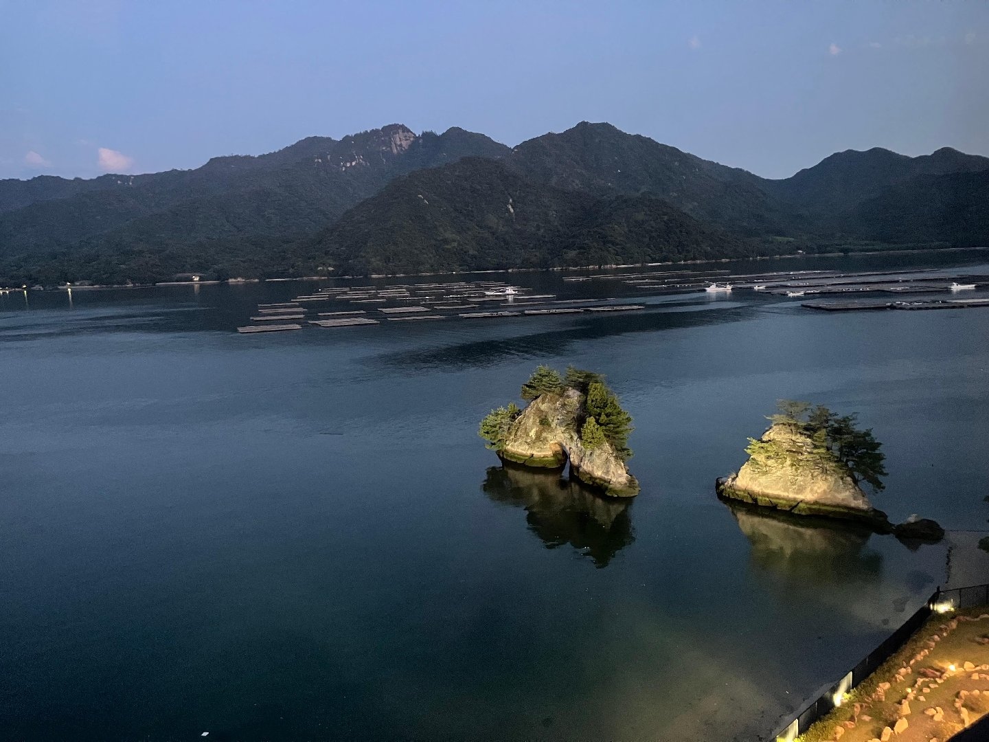 9A77540E-0A07-4A07-9910-3D6A3ECB1023.jpeg