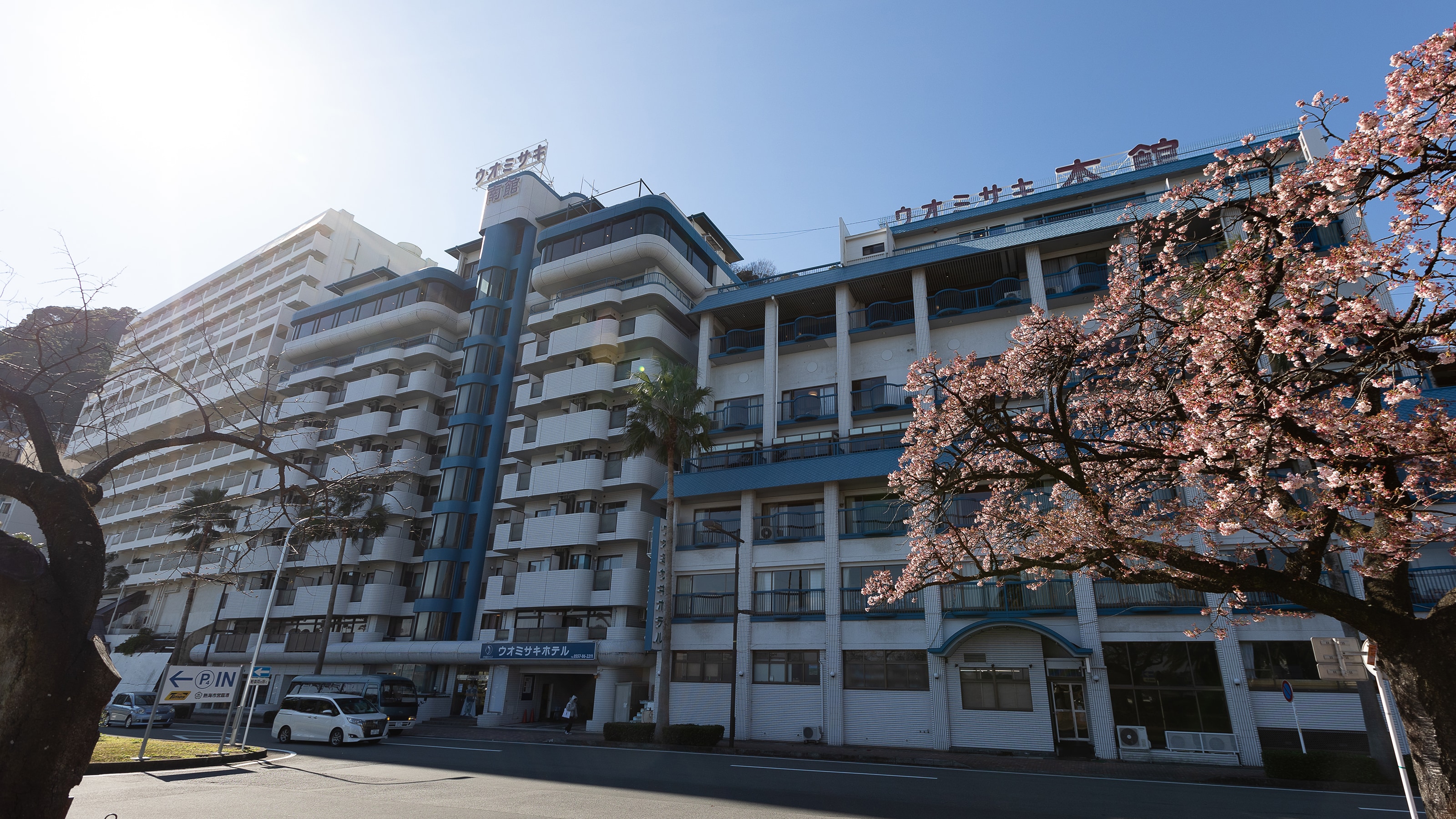 外觀和櫻花