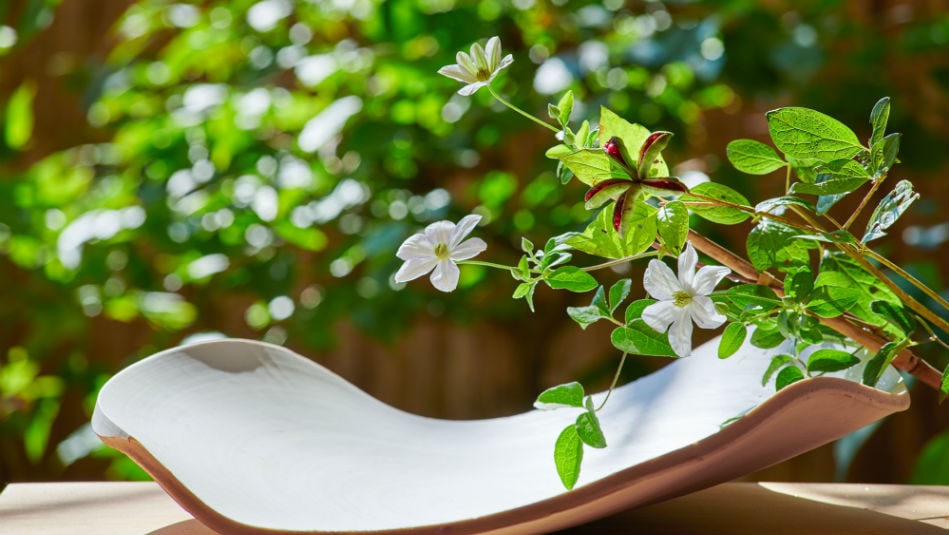 Seasonal flowers