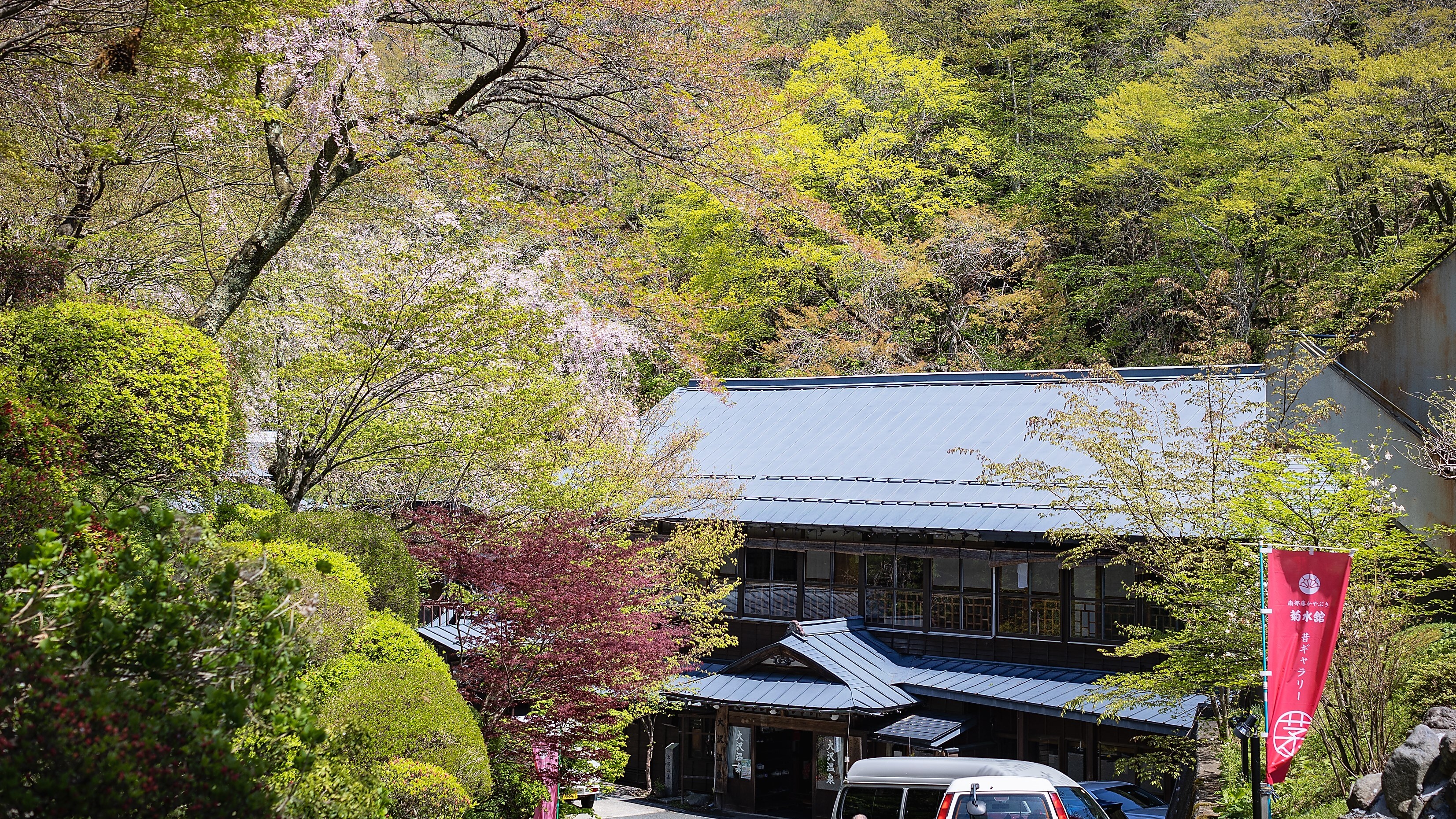 Fresh greenery at Osawa Onsen