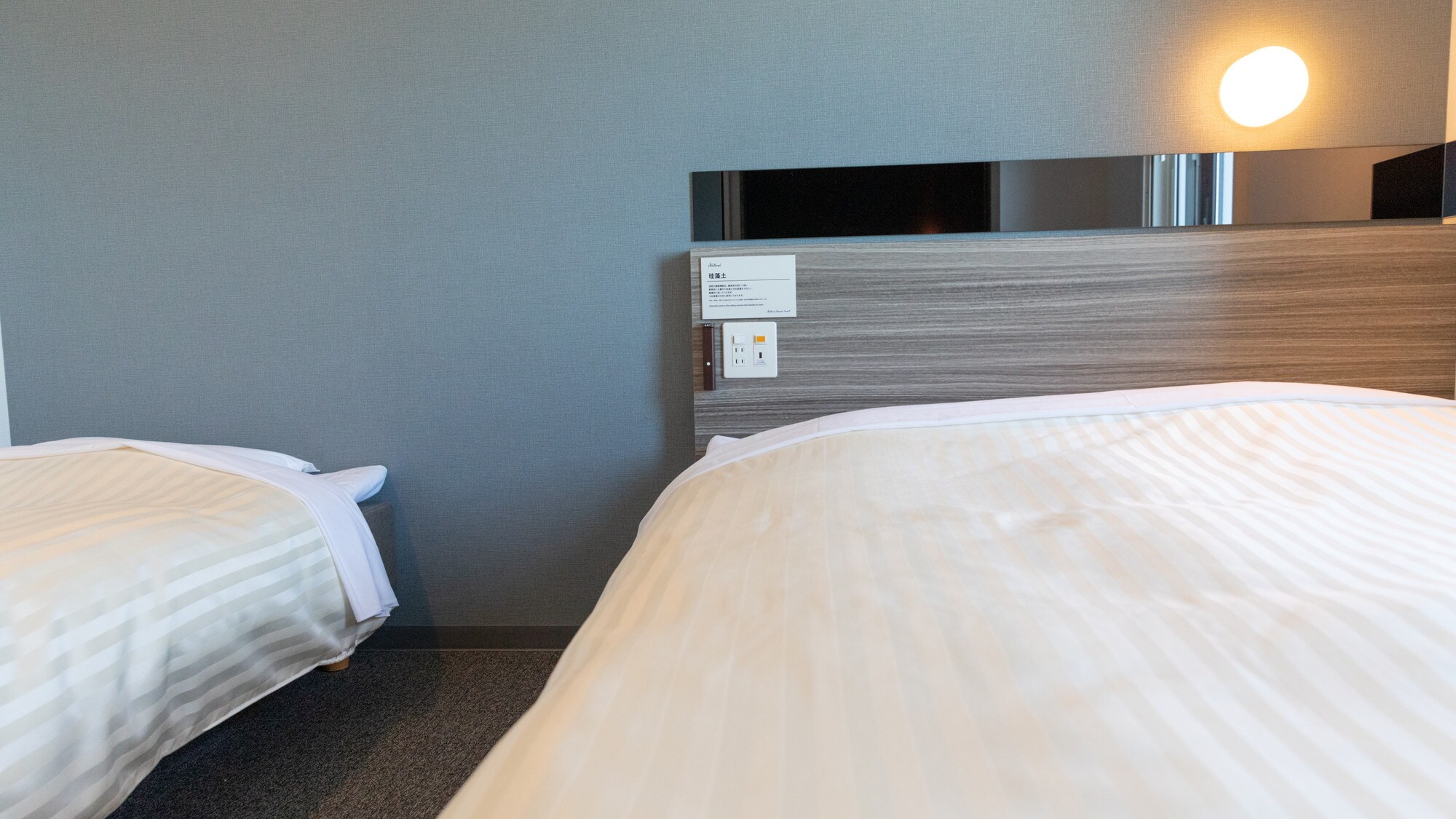 Phòng này có một giường đôi và một giường phụ.