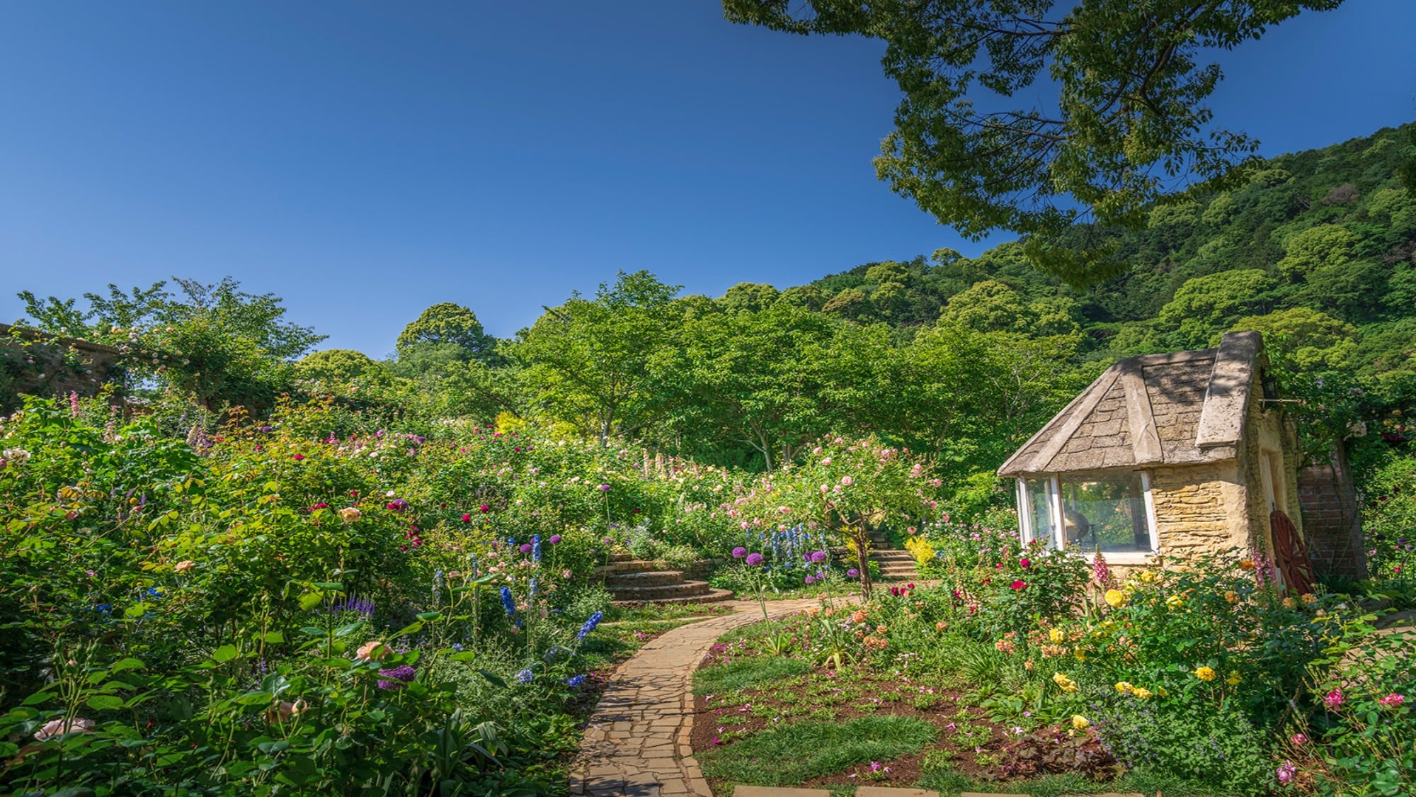 [Akao Forest] Perfect for a stroll with your dog
