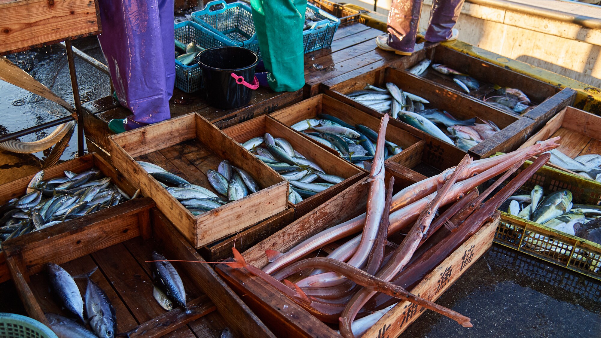 [Kitaura Furue Fishing Port]
