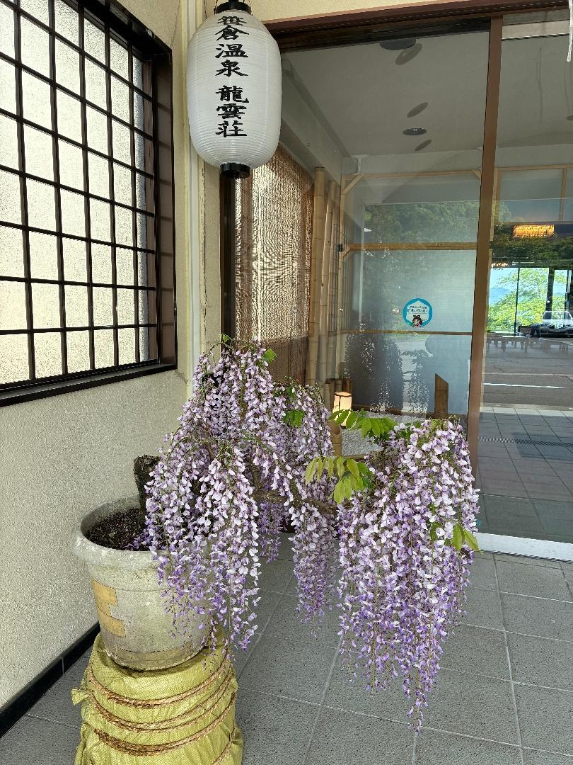 IMG_0200.jpeg