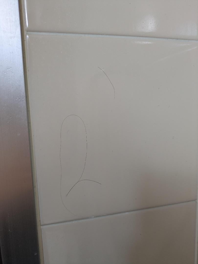 1000007082.jpg