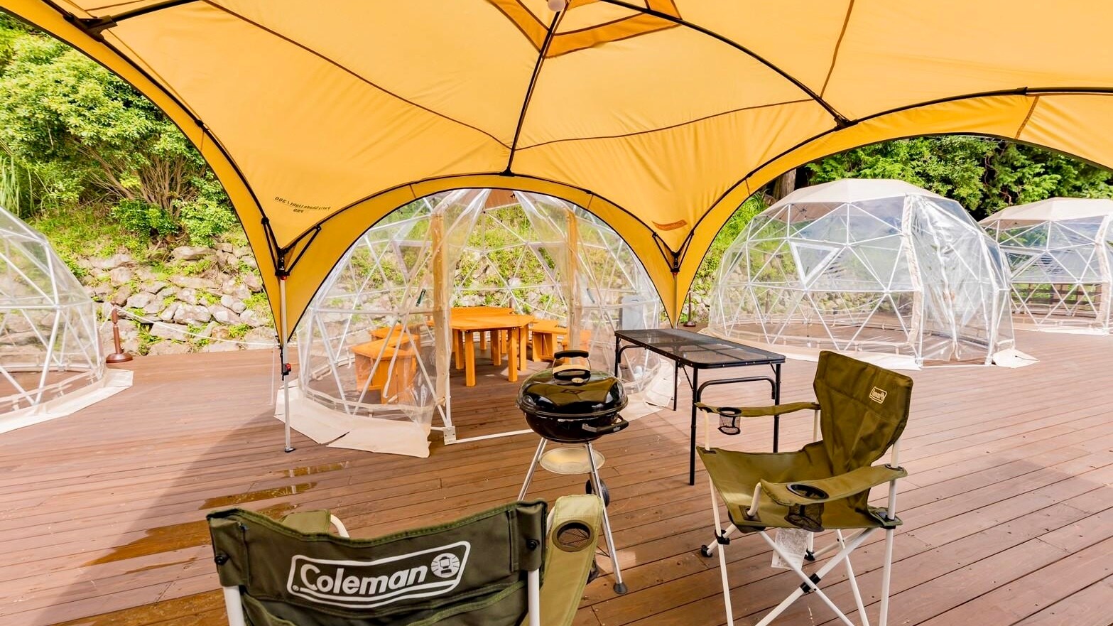 ดาดฟ้าไม้