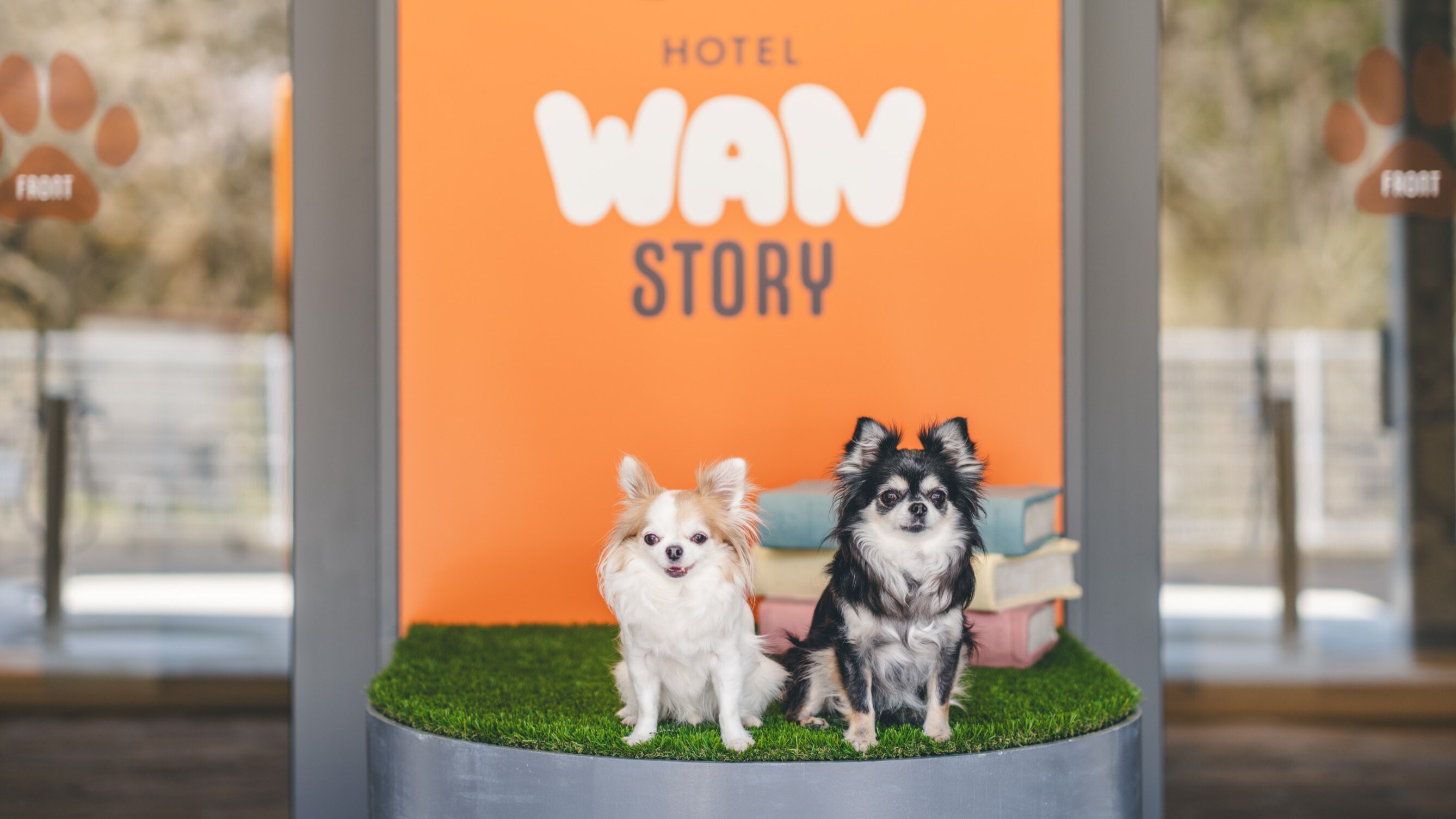 A dog-friendly hotel where you can stay with your beloved dog