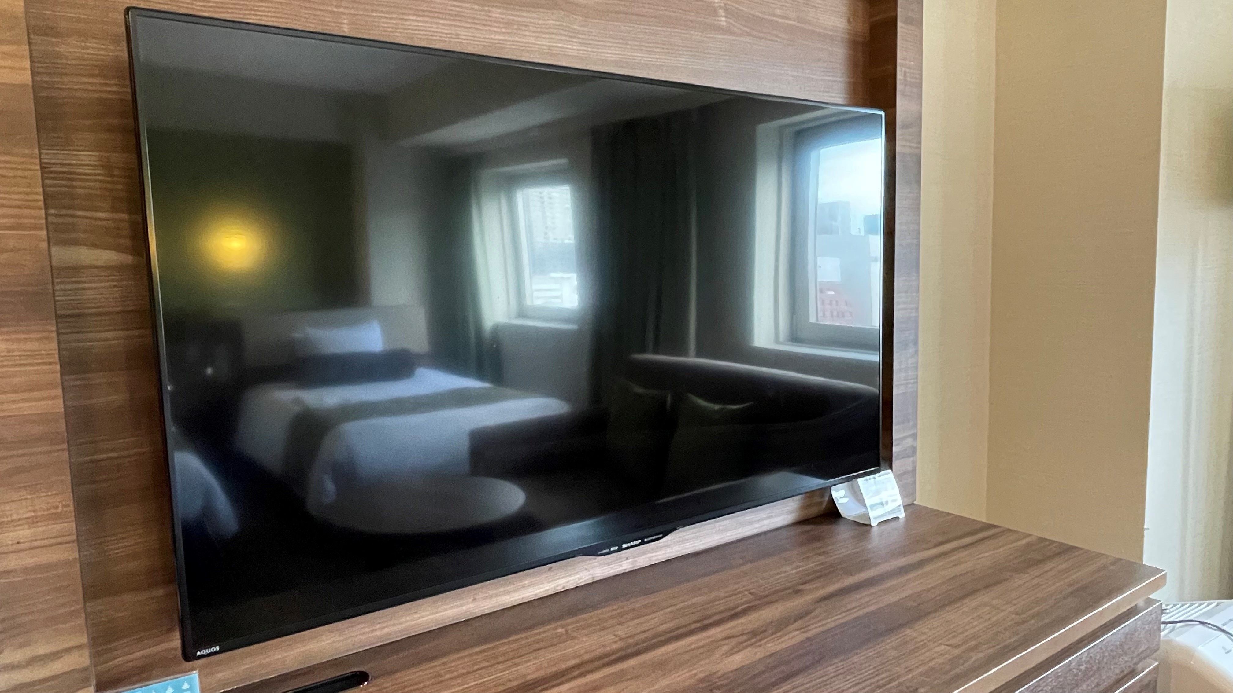 [EX 豪华双床房] 50 英寸电视