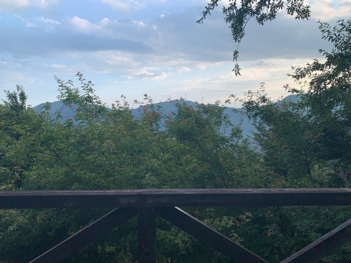 IMG_0224.jpeg
