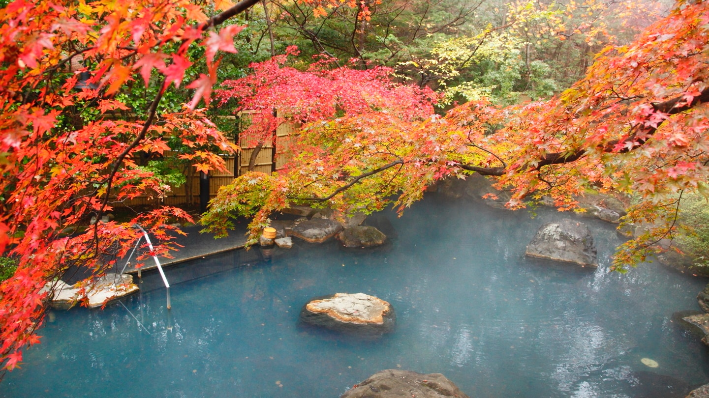  【红叶大露天浴池】