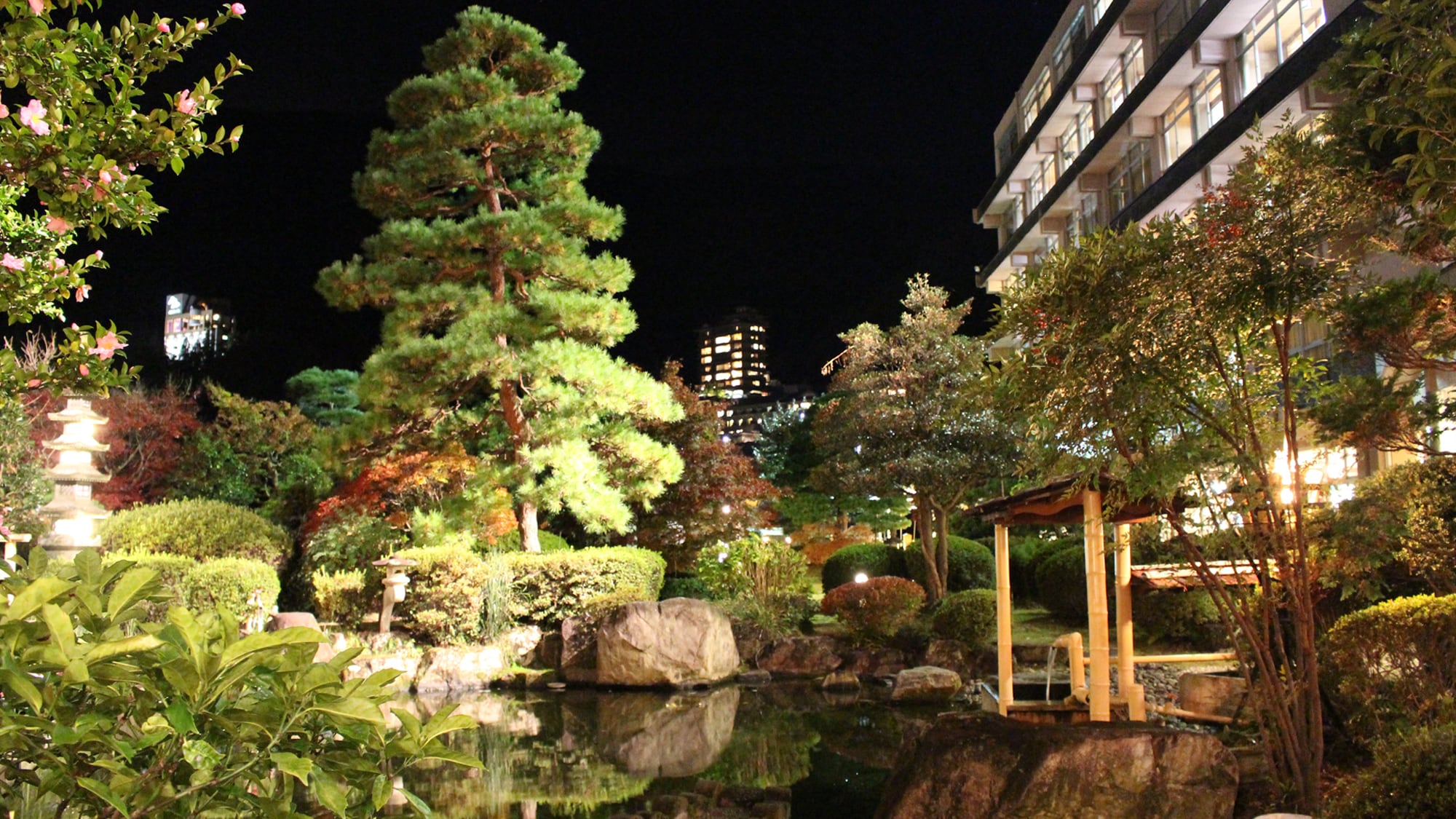 Japanese garden at night