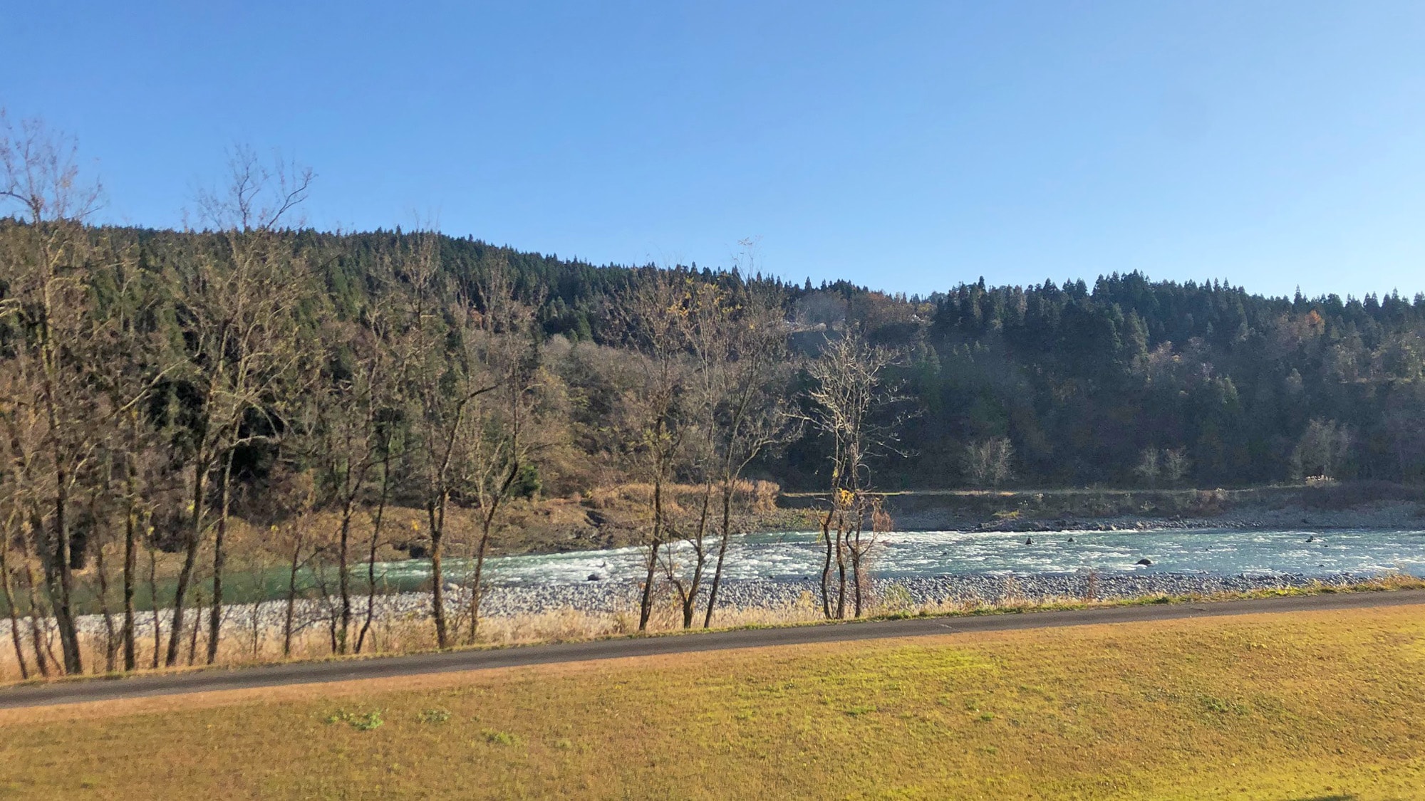 Main building (view from room)