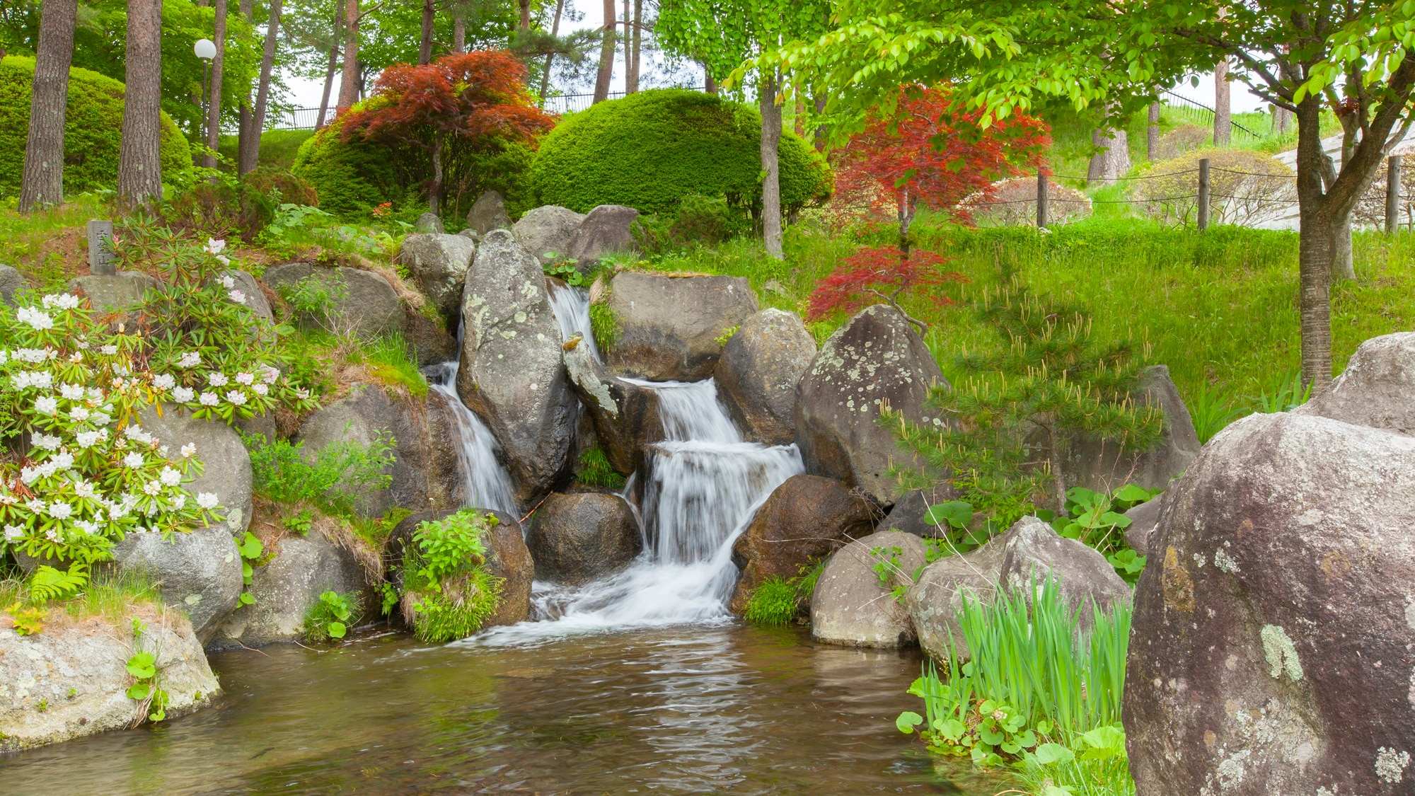 *[Facilities/Walking Path] Nihonike Pond along the path is a pond shaped like the Japanese archipelago.