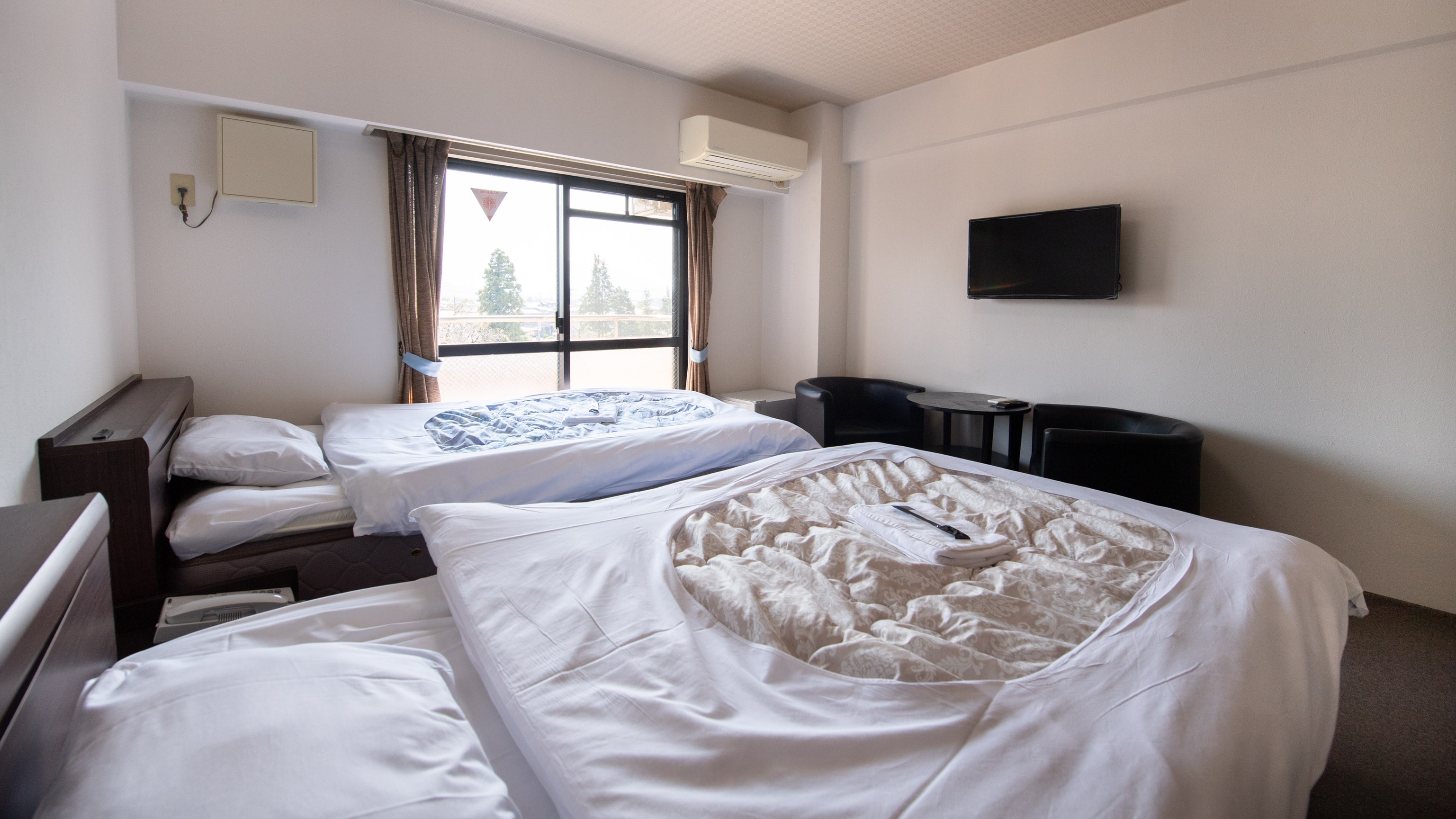 [Non-smoking] Twin room