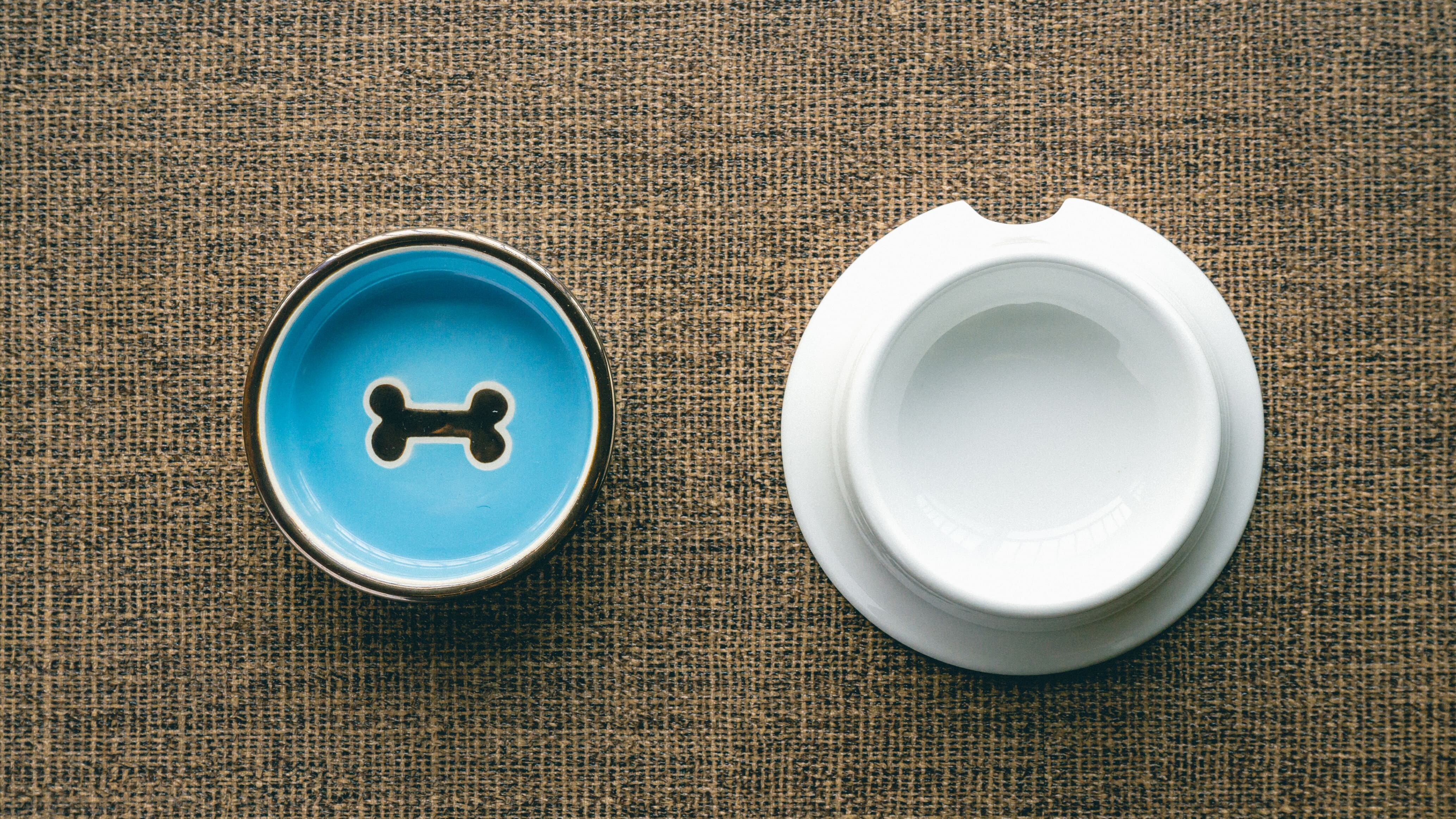 [Indoor amenities] Food bowls and water bowls are also provided.
