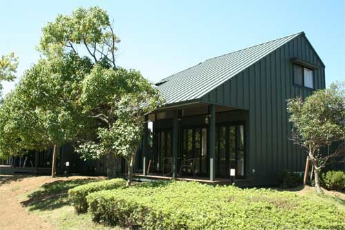Appearance image