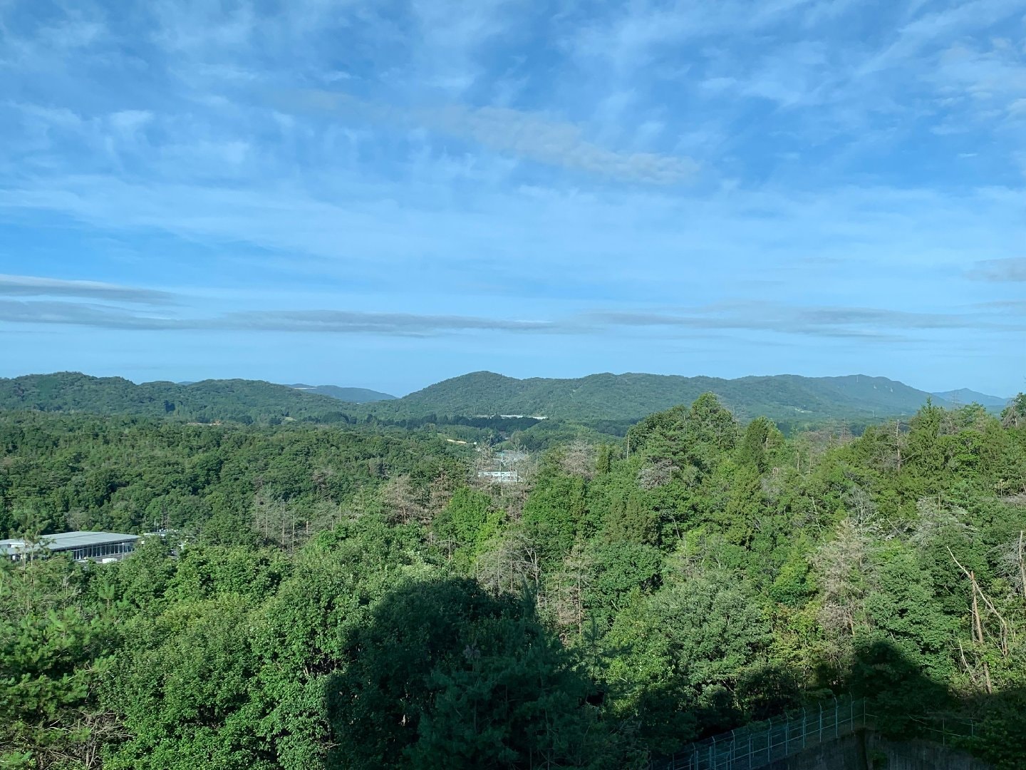 IMG_2891.jpeg