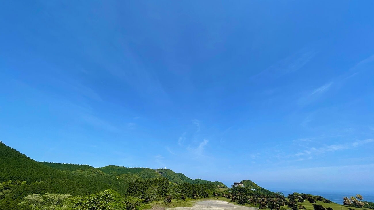The forest behind the lighthouse is a horse trail. There is a high possibility that you will come very close to the horses. In the morning, you can enjoy the morning sun rising behind the lighthouse.