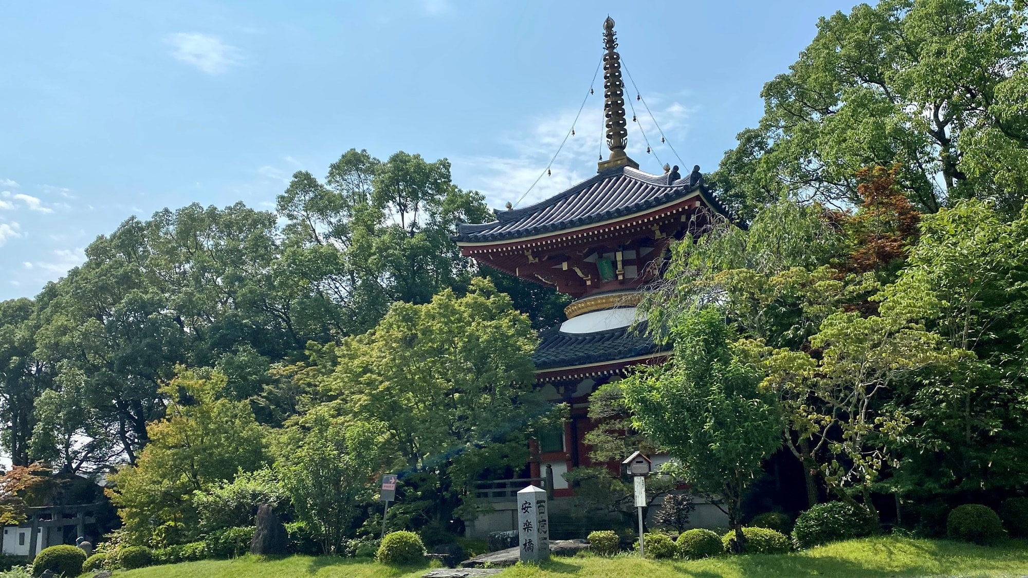 *[Pagoda Tahoto/Musim Panas] Dikelilingi oleh tanaman hijau di musim panas, Pagoda Tahoto mengekspresikan Tanah Suci dengan lukisan dan patung Buddha yang indah dan kaya warna.