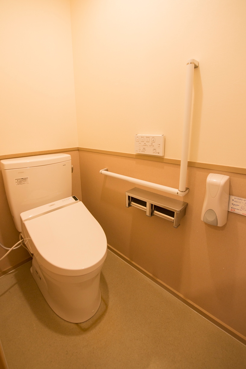 Guest room toilet