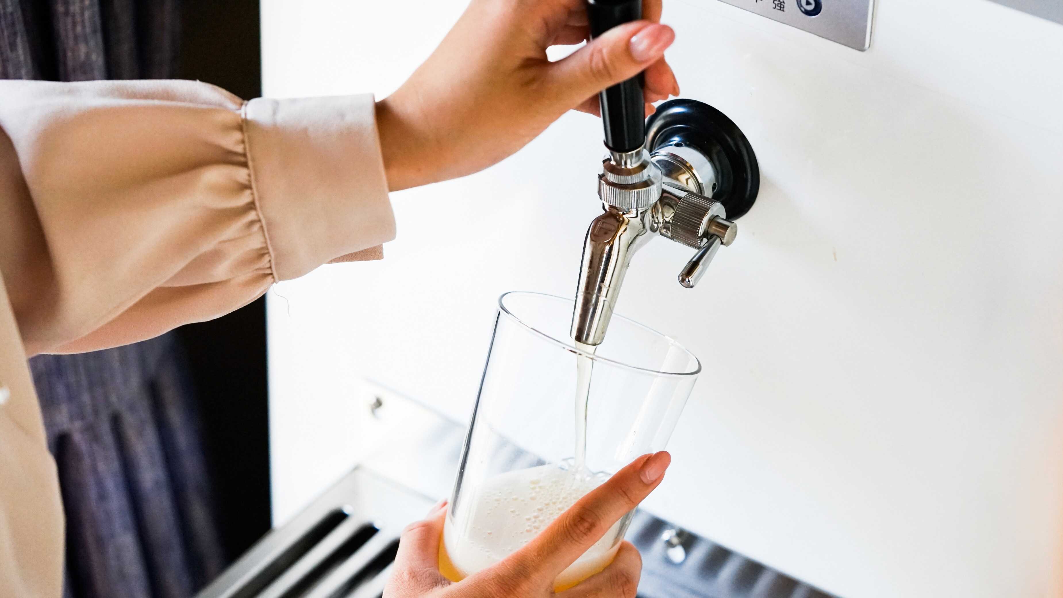 Craft beer server