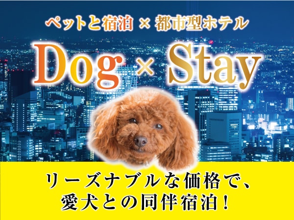 宠物狗入住计划