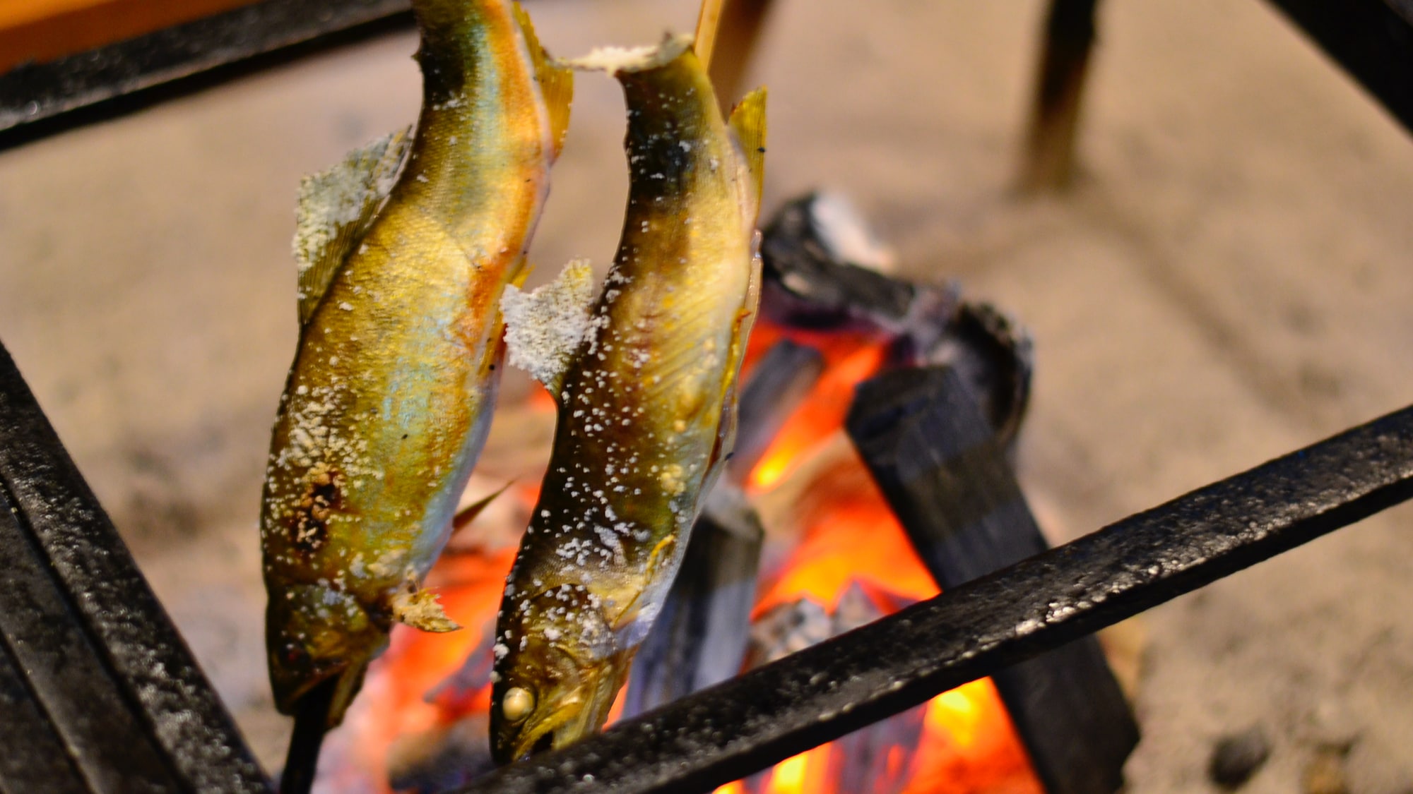 By rubbing salt on the fish before grilling, the flavor is concentrated.
