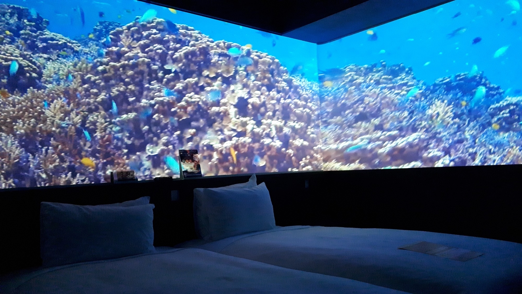 Churaumi Room (Twin)