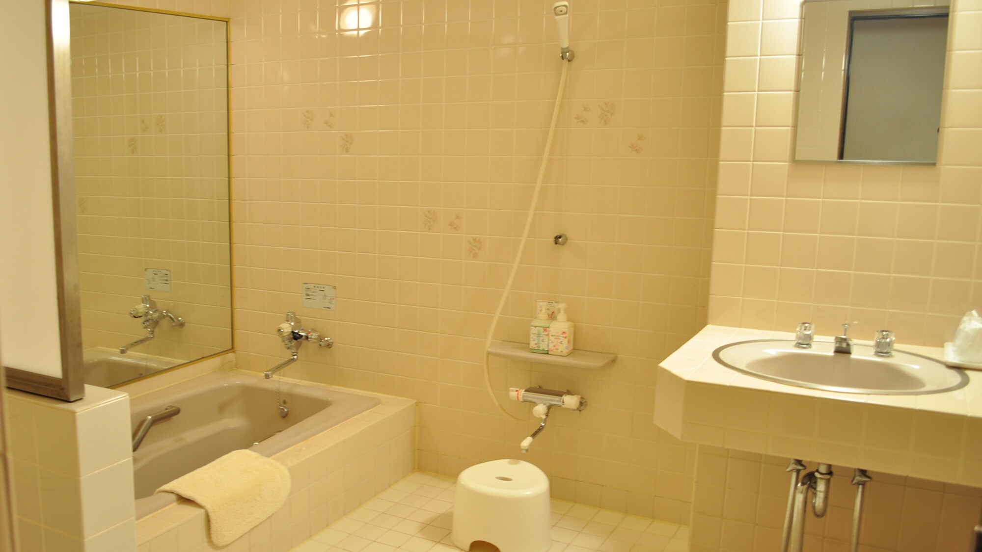 [Bathroom] This is the pet room bathroom. It is spacious and comfortable.