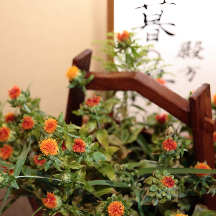 [Yamagata Prefecture Flower] Benibana