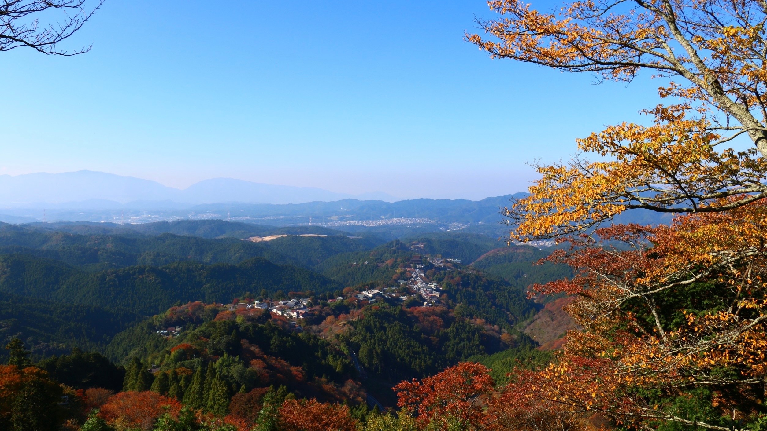 <Autumn> Autumn leaves of Mt. Yoshino (Kamisenbon: Hanayakura Observatory)