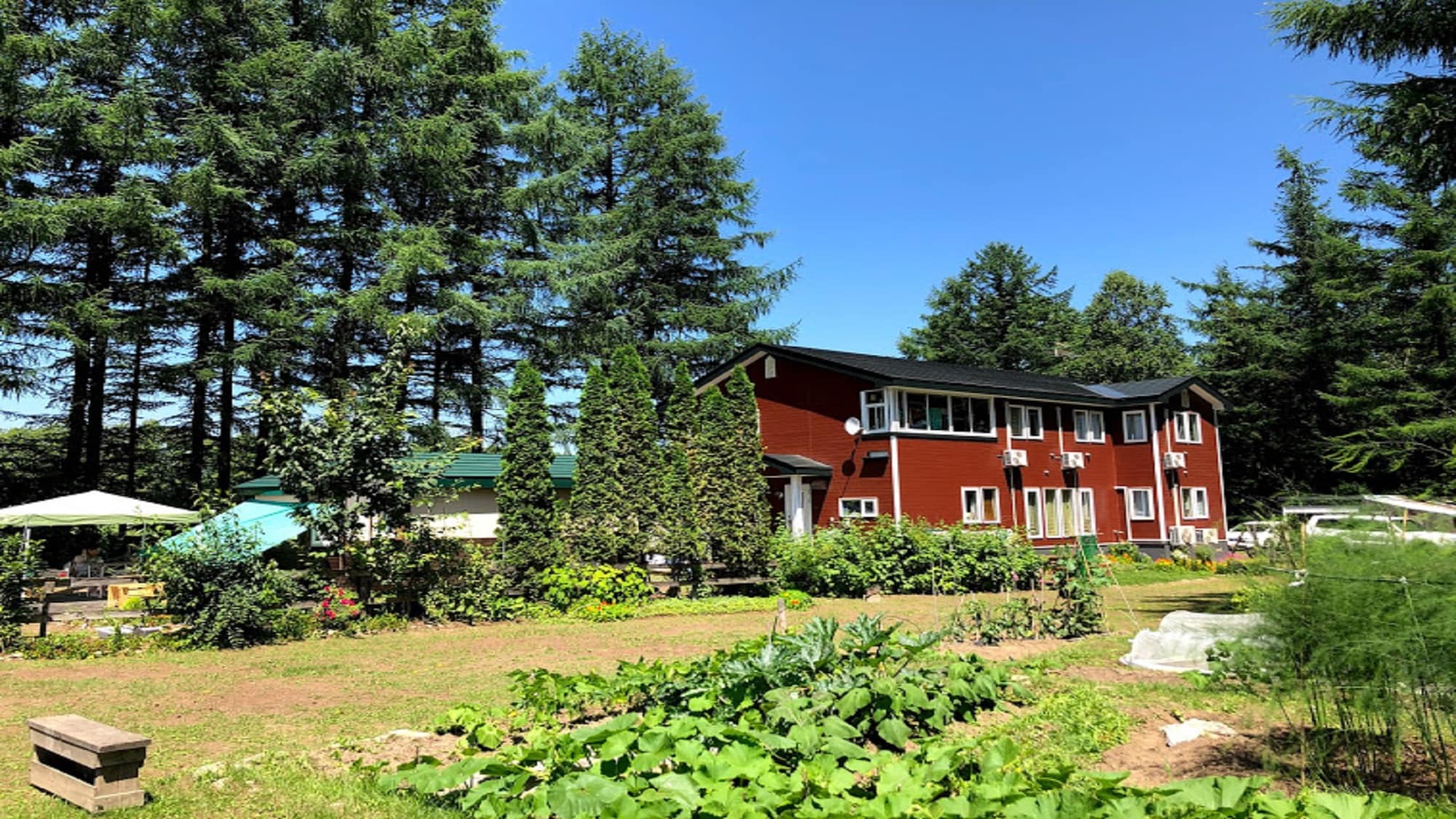 Obihiro Yachiyo Youth Hostel Pemandangan Penuh Musim Panas