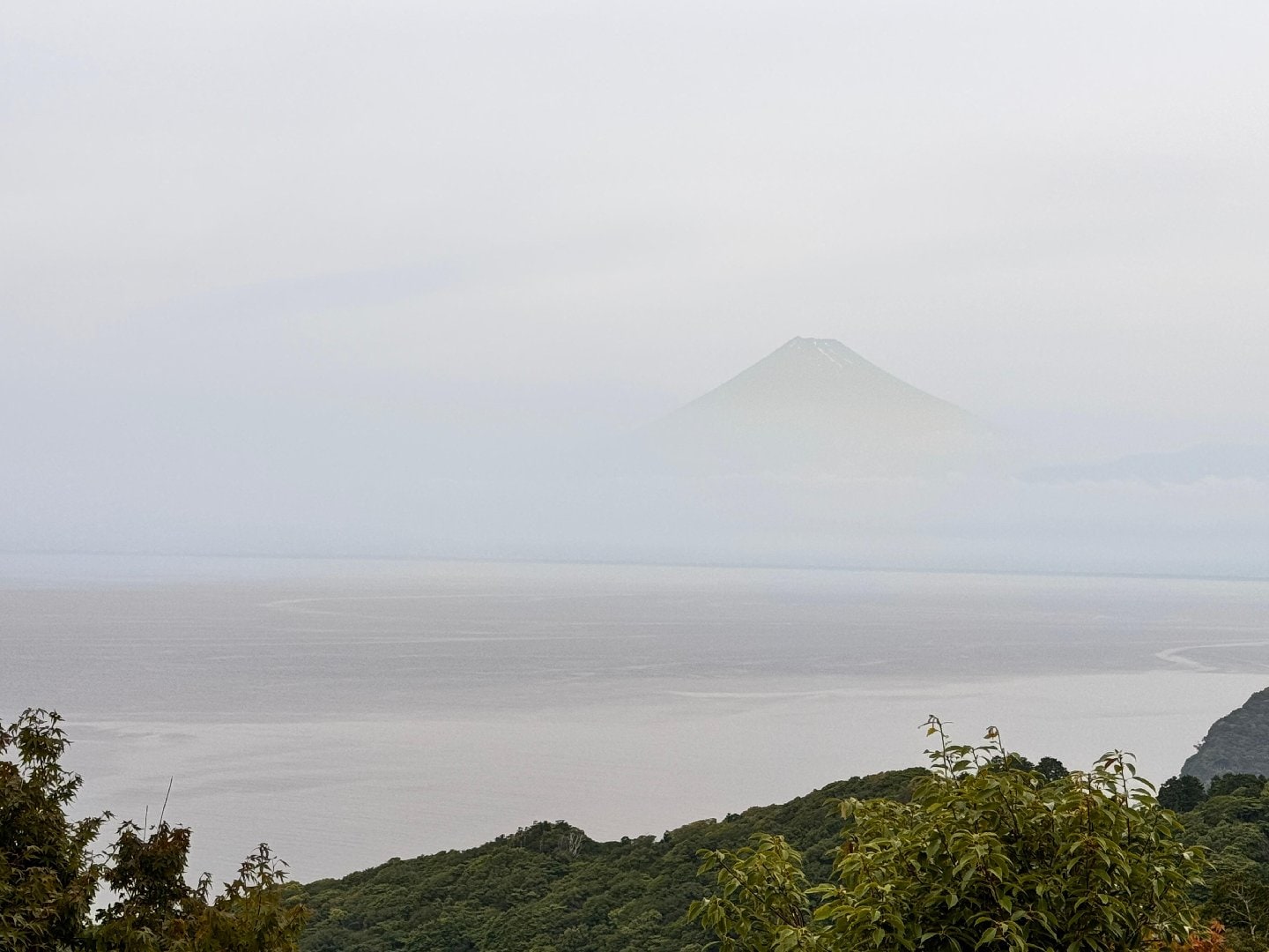 902907FD-B9EC-49A5-B8F5-E8095E7E5E90.jpeg