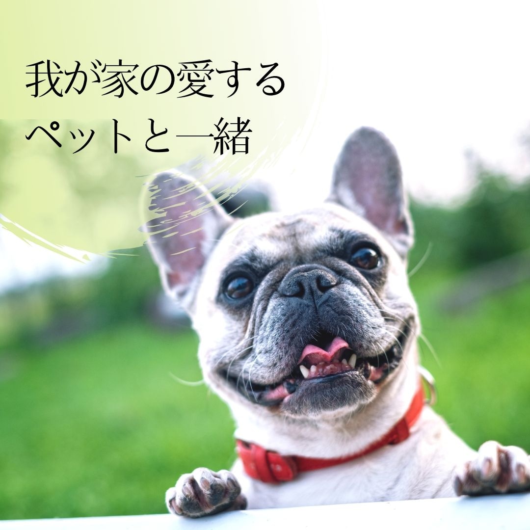 首頁 寵物橫幅