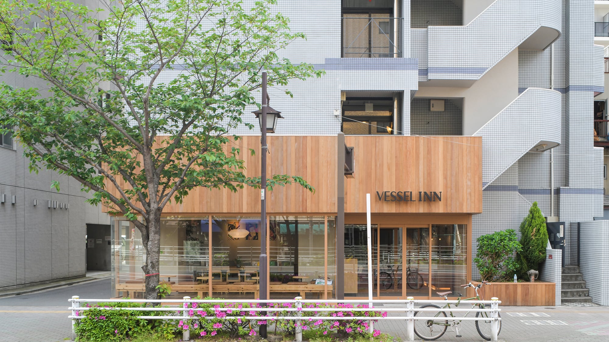 Appearance (daytime)