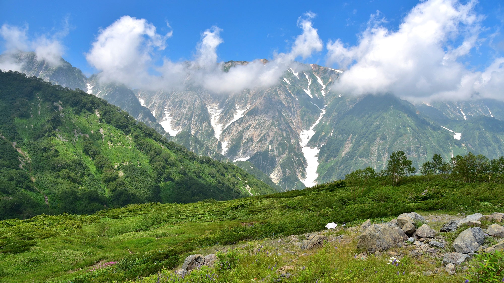 夏季的白馬