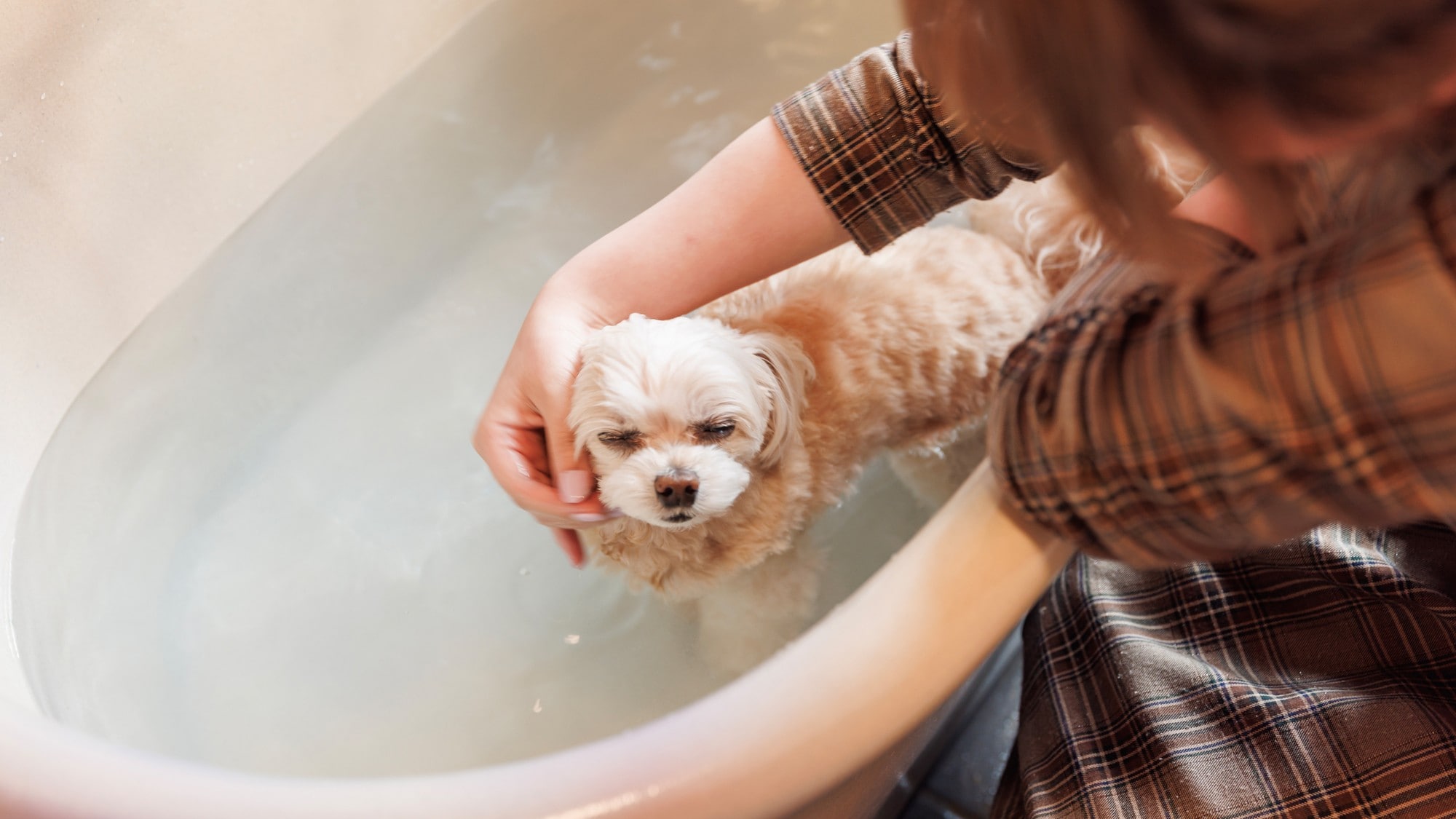 [Semi-open-air bath, pure Japanese-style room with bed] You can take a bath with your dog♪
