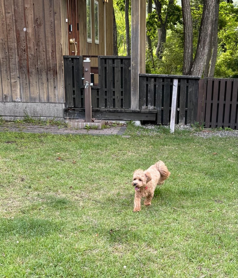 IMG_0745.jpeg