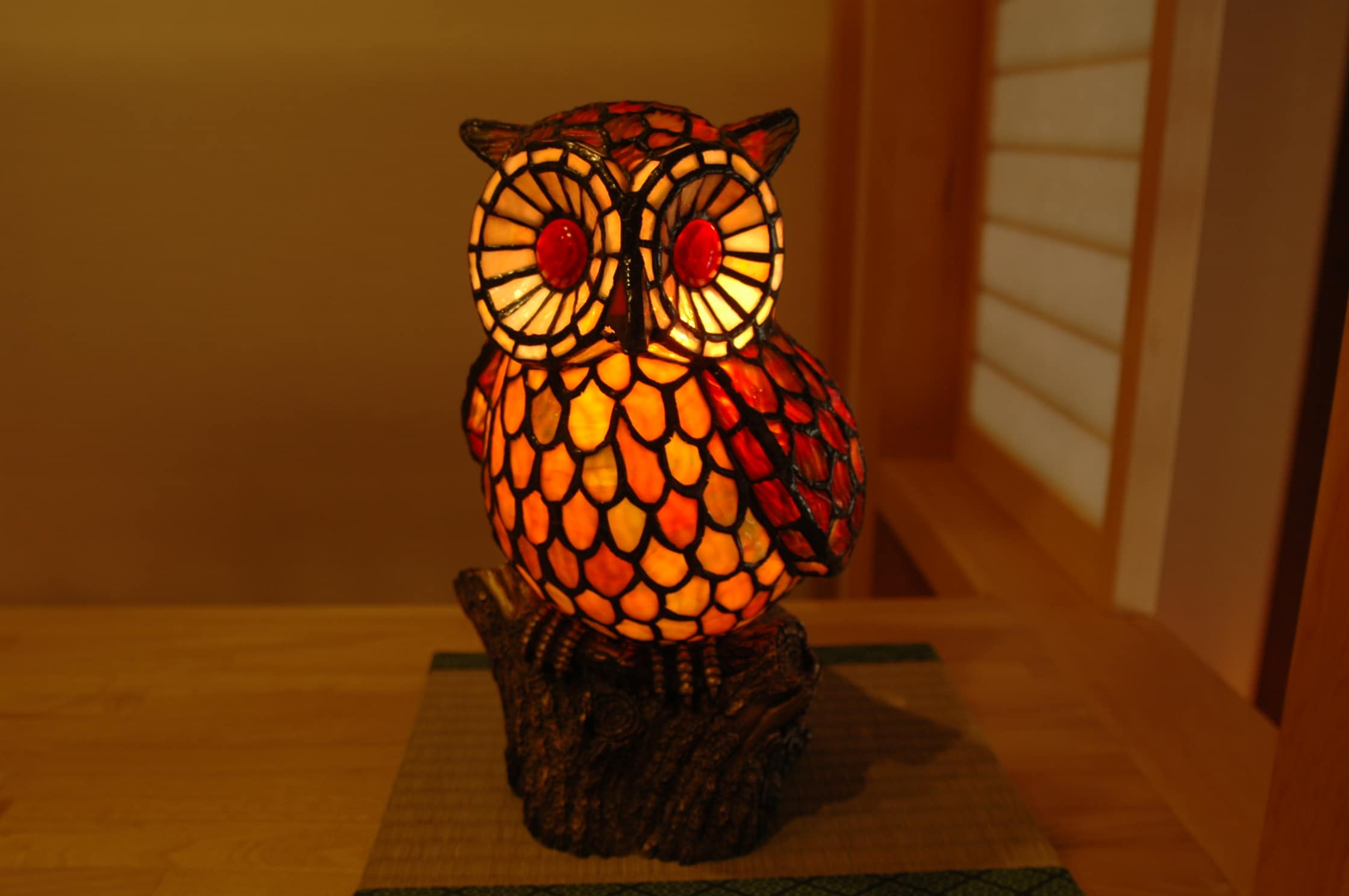 owl